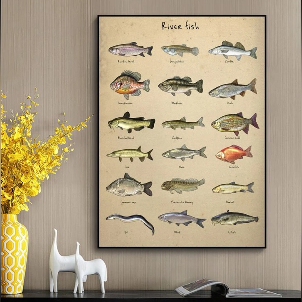 Fish Print (Unframed)